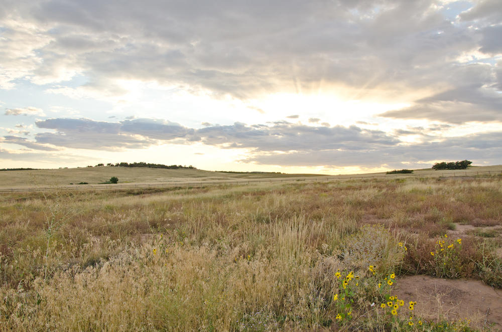 BUFFALO RIDGE RD, Mt. Carmel, UT 84755