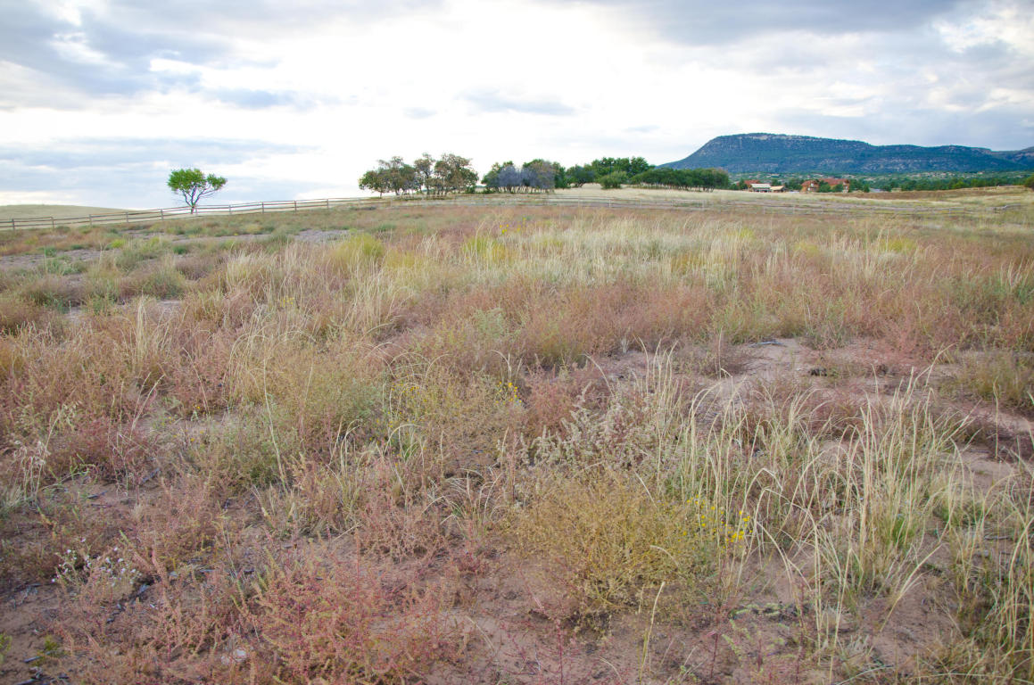 BUFFALO RIDGE RD, Mt. Carmel, UT 84755