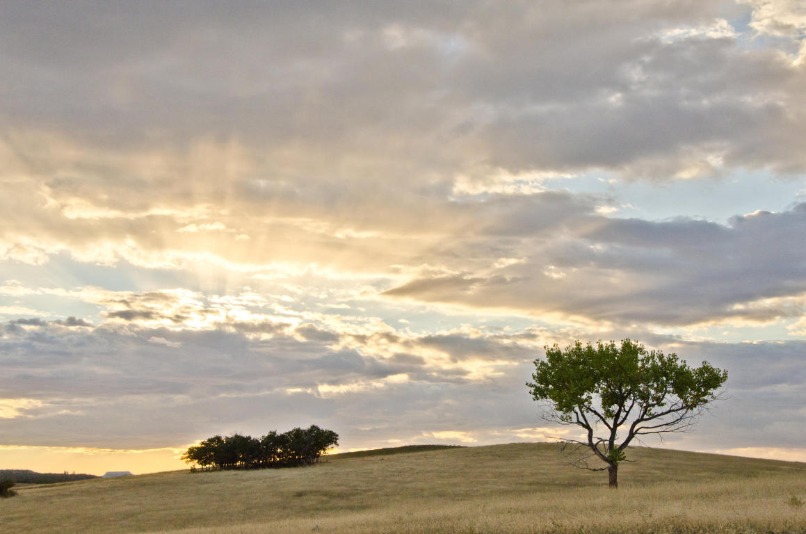 BUFFALO RIDGE RD, Mt. Carmel, UT 84755