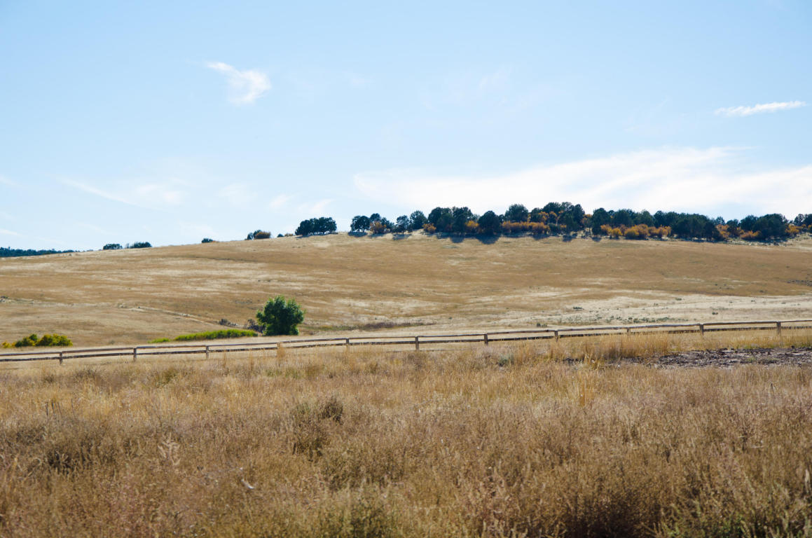 BUFFALO RIDGE RD, Mt. Carmel, UT 84755
