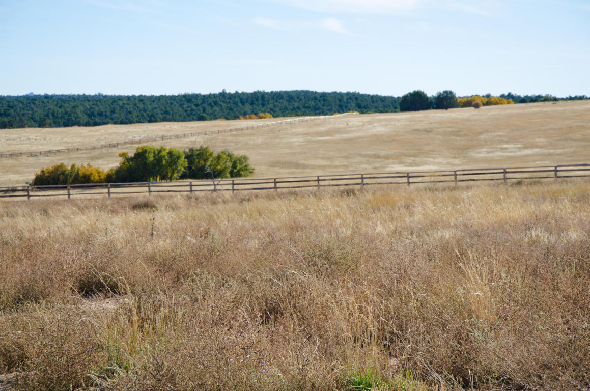 BUFFALO RIDGE RD, Mt. Carmel, UT 84755