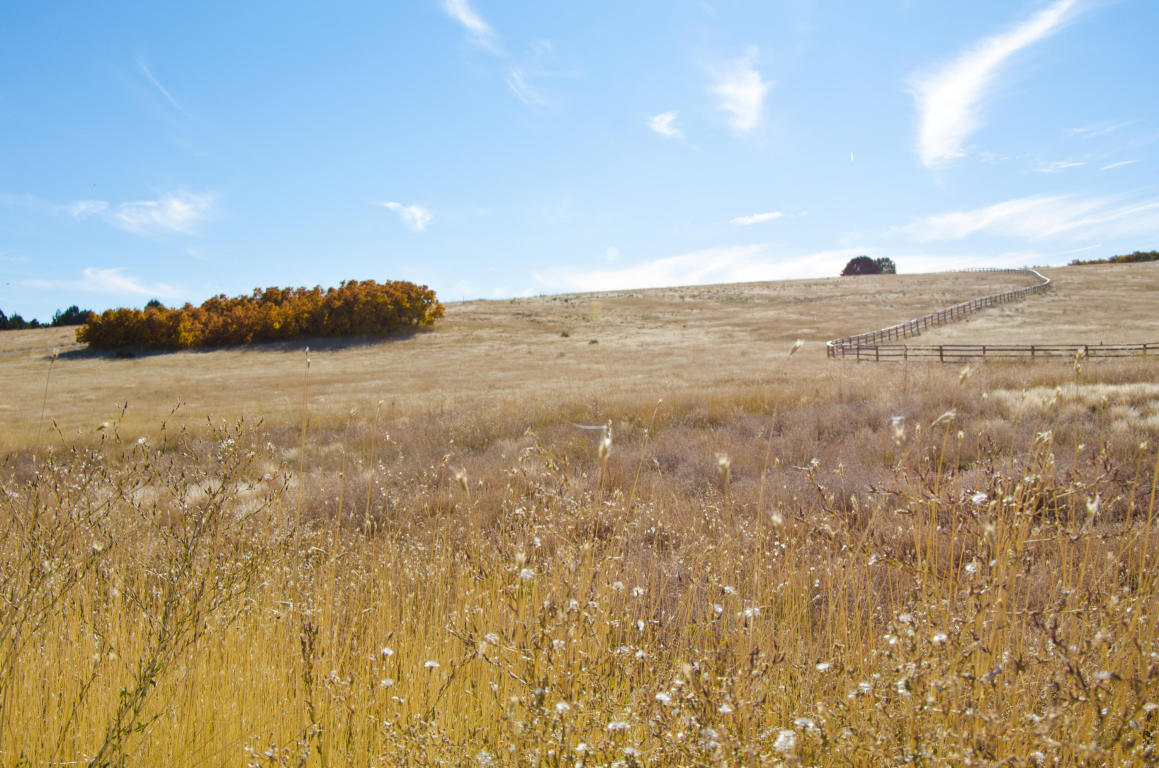 BUFFALO RIDGE RD, Mt. Carmel, UT 84755