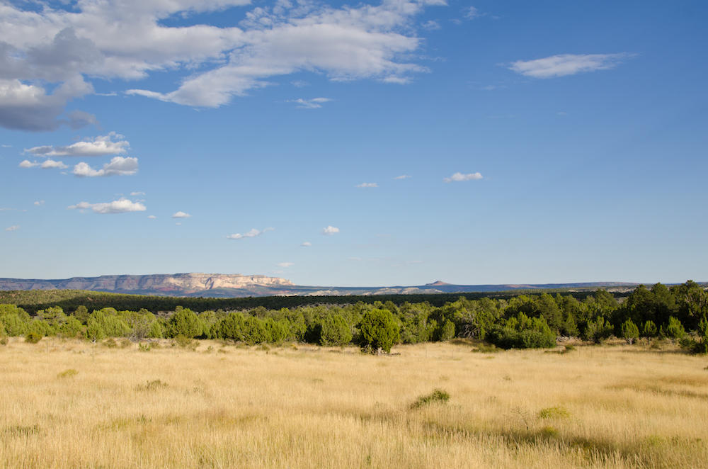BUFFALO RIDGE RD, Mt. Carmel, UT 84755