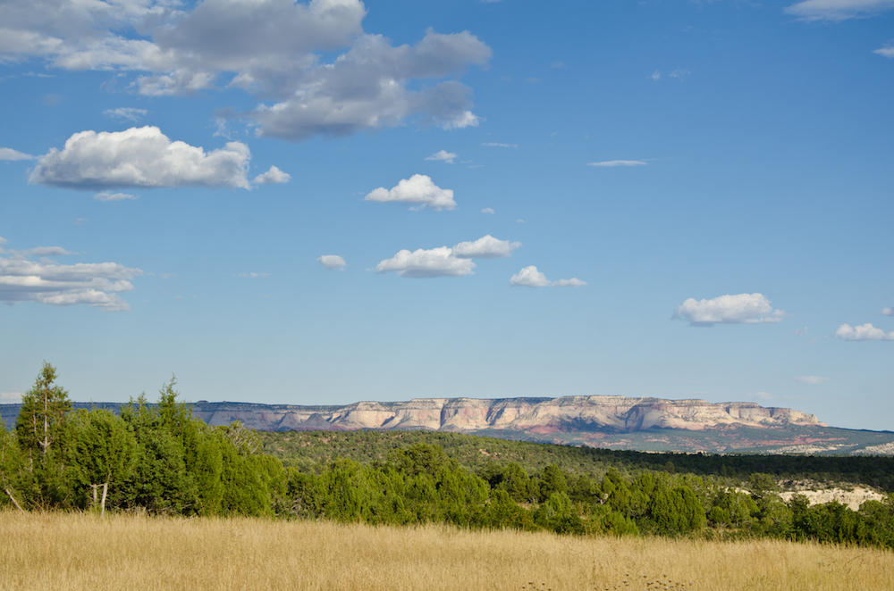 BUFFALO RIDGE RD, Mt. Carmel, UT 84755