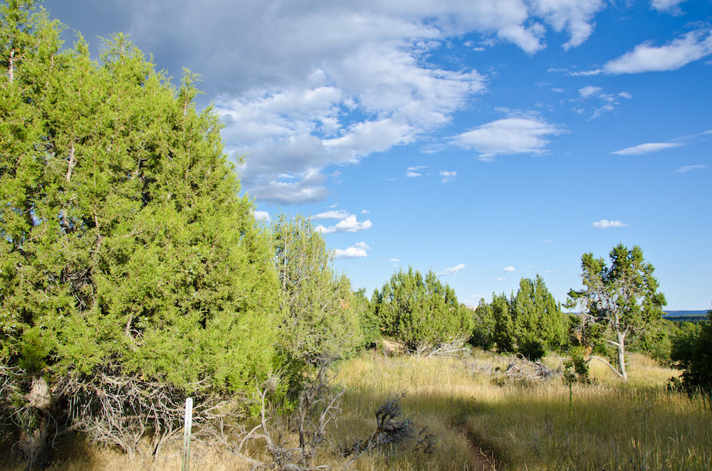 BUFFALO RIDGE RD, Mt. Carmel, UT 84755