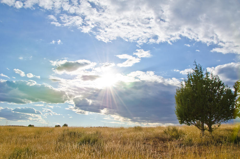 BUFFALO RIDGE RD, Mt. Carmel, UT 84755
