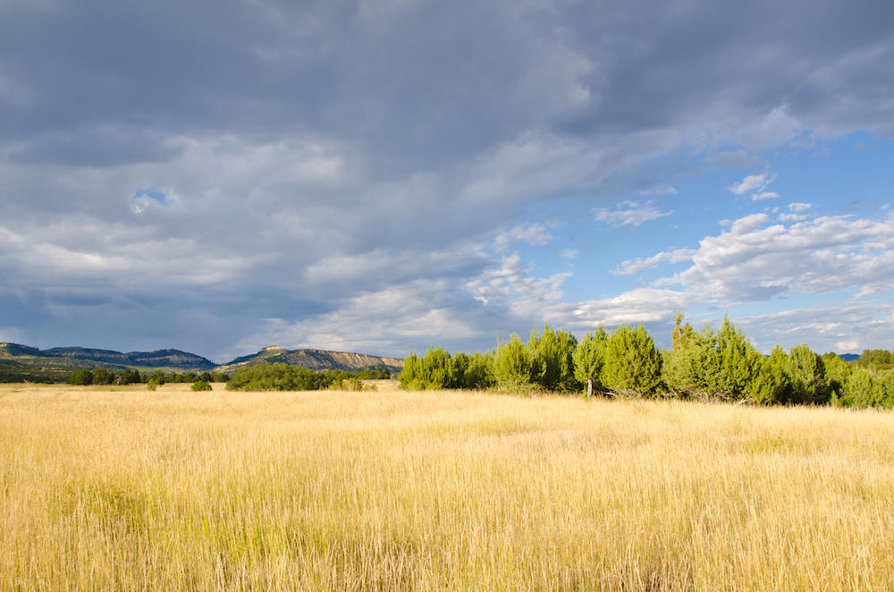 BUFFALO RIDGE RD, Mt. Carmel, UT 84755