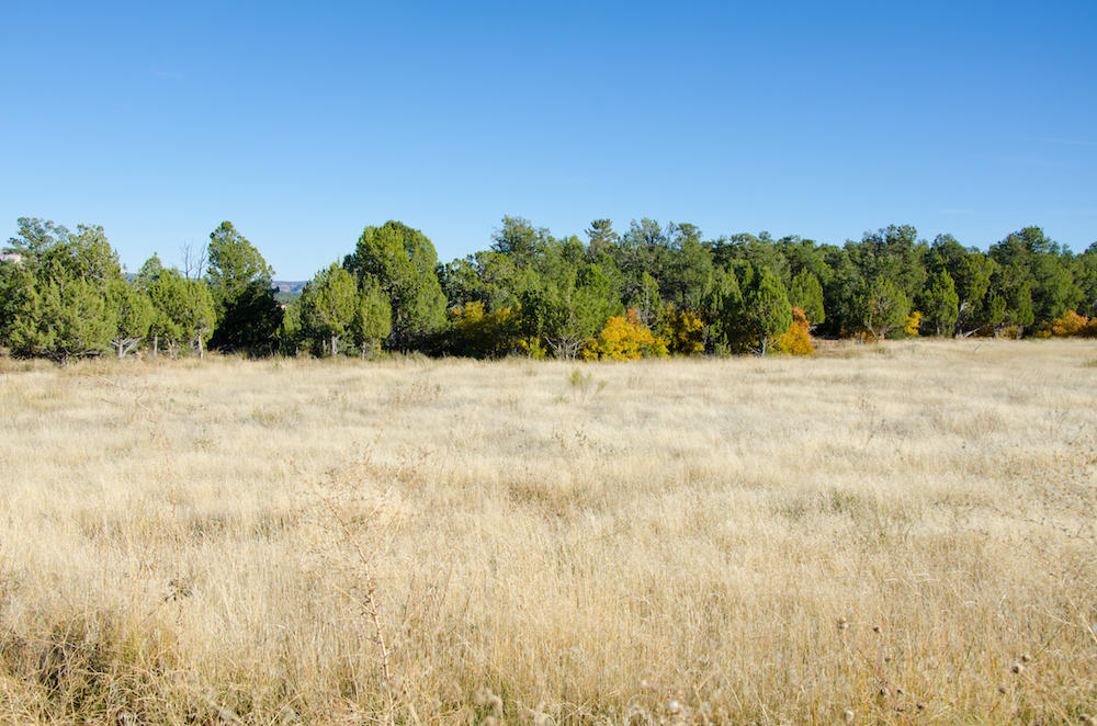BUFFALO RIDGE RD, Mt. Carmel, UT 84755