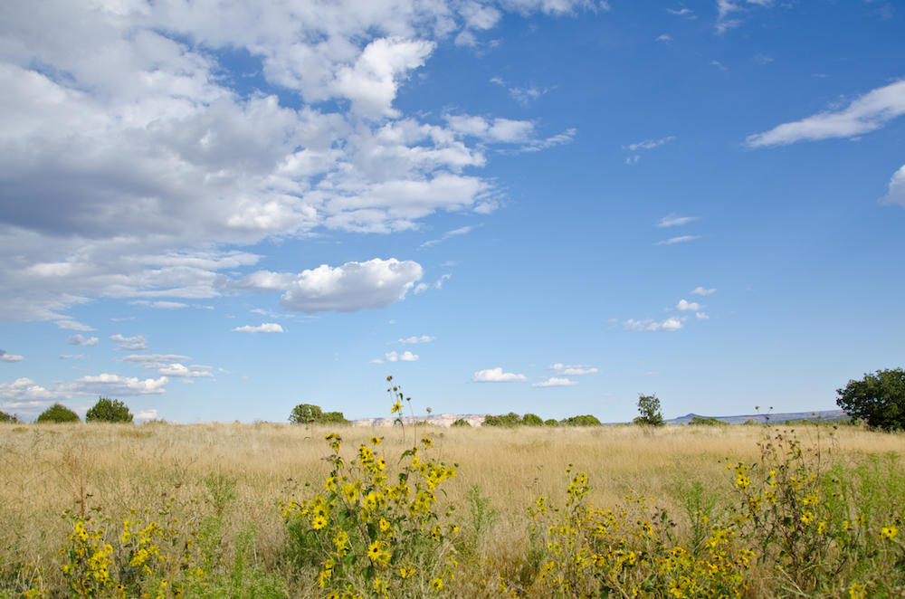 MEADOW CREEK LN, Mt. Carmel, UT 84755