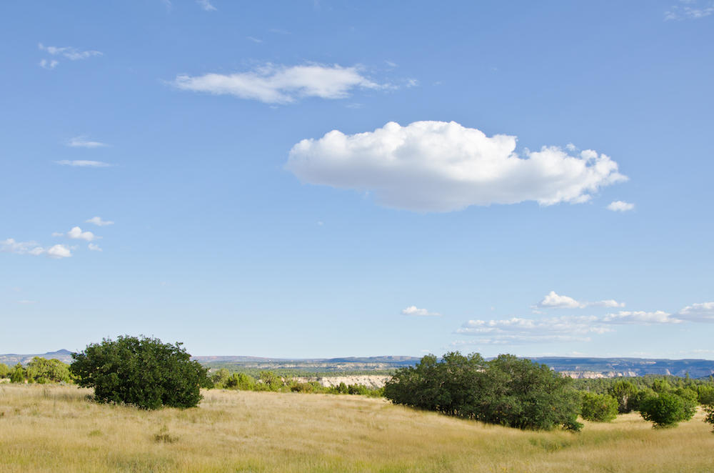 MEADOW CREEK LN, Mt. Carmel, UT 84755
