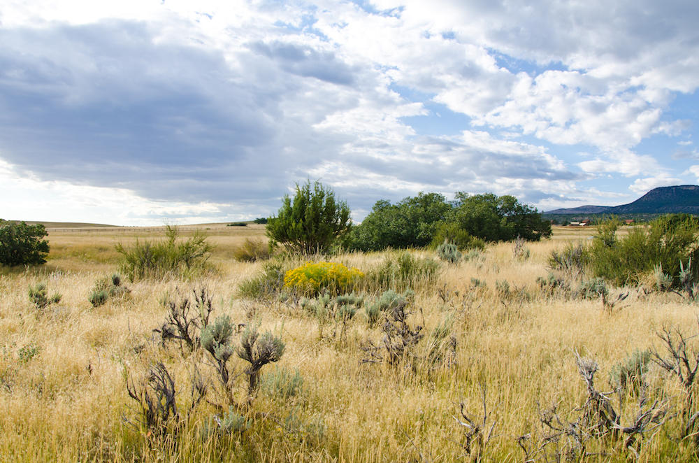 MEADOW CREEK LN, Mt. Carmel, UT 84755