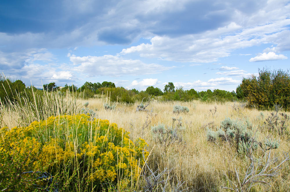 MEADOW CREEK LN, Mt. Carmel, UT 84755