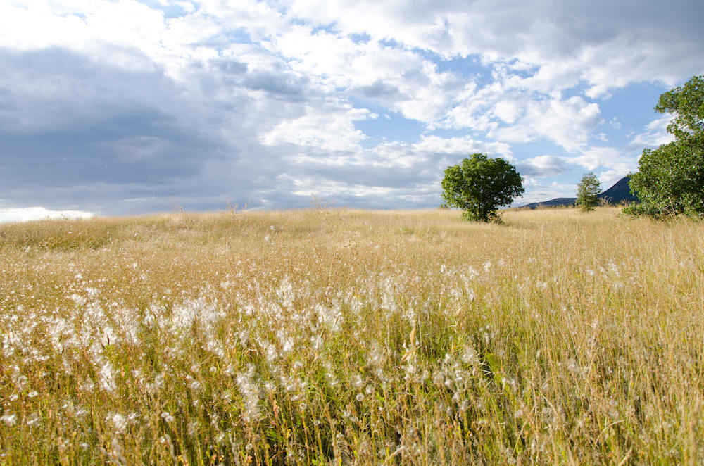 MEADOW CREEK LN, Mt. Carmel, UT 84755