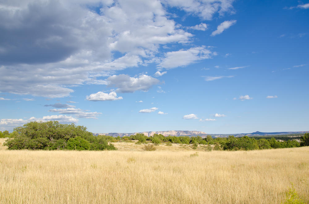 MEADOW CREEK LN, Mt. Carmel, UT 84755