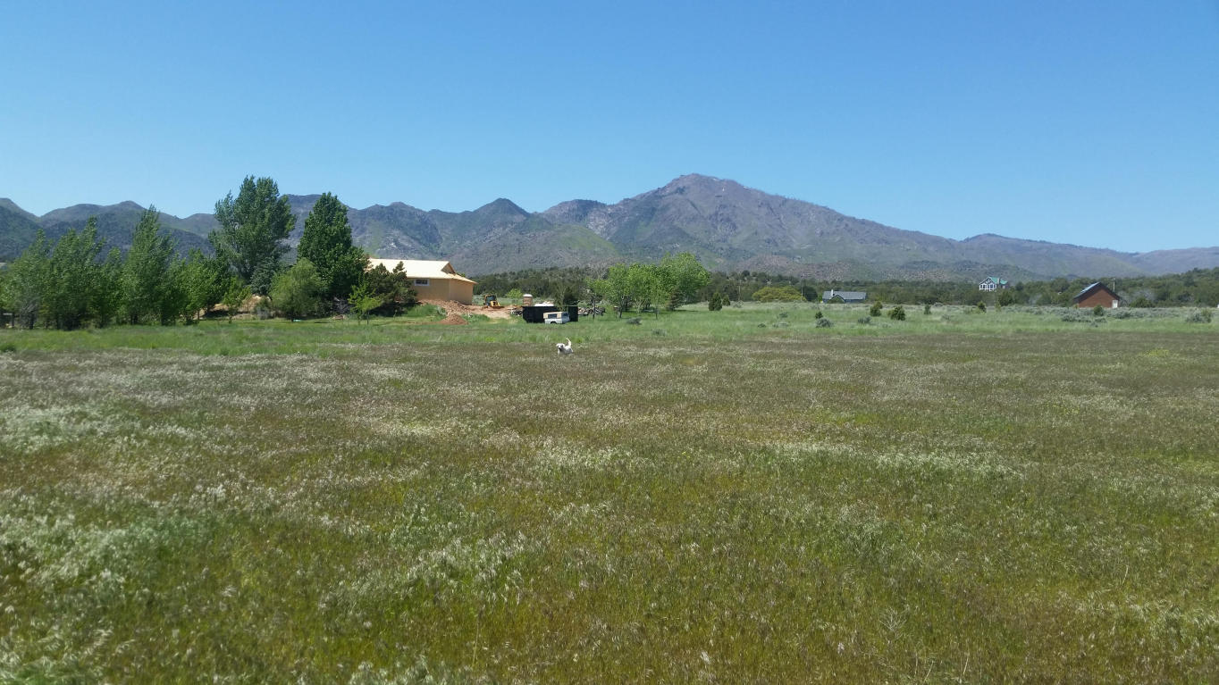 1828 S 2500 E, New Harmony, UT 84757