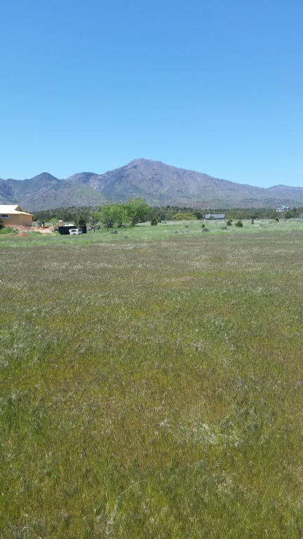 1828 S 2500 E, New Harmony, UT 84757