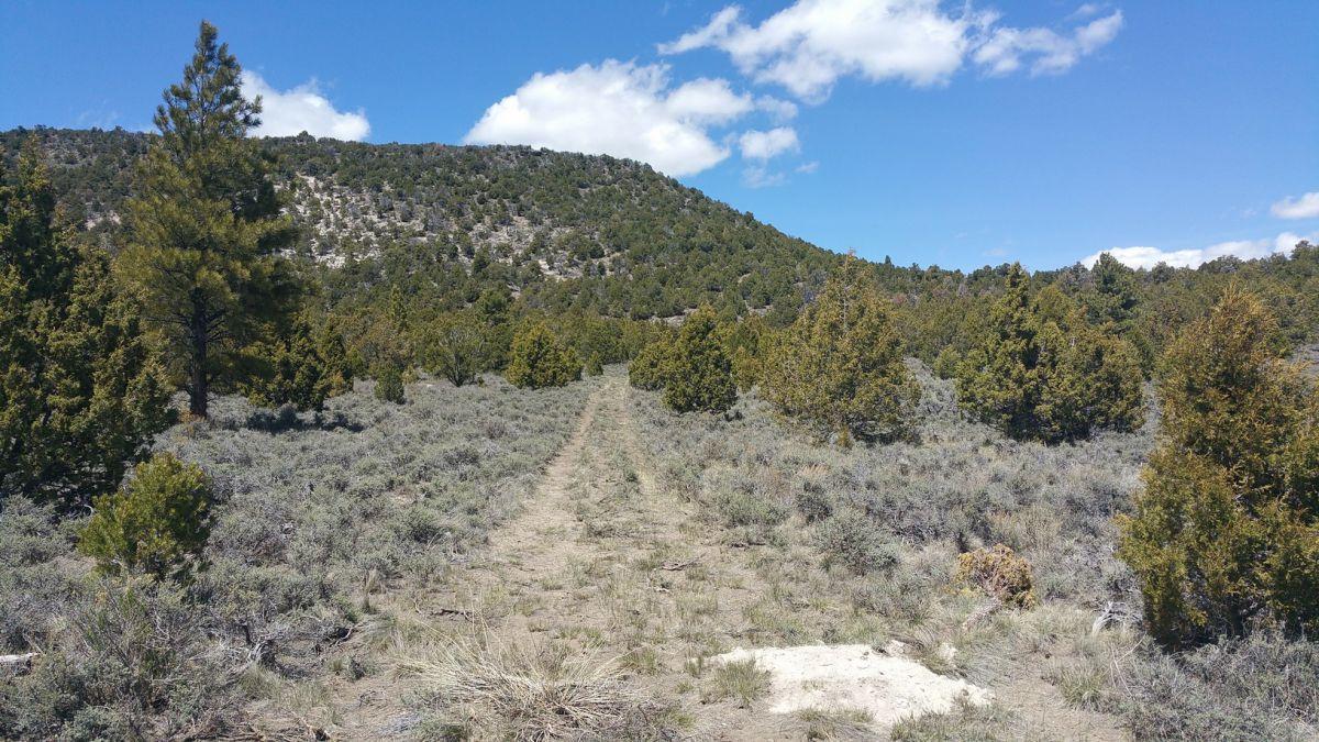 Sec 4 T 36 S R6W, Panguitch, UT 84759