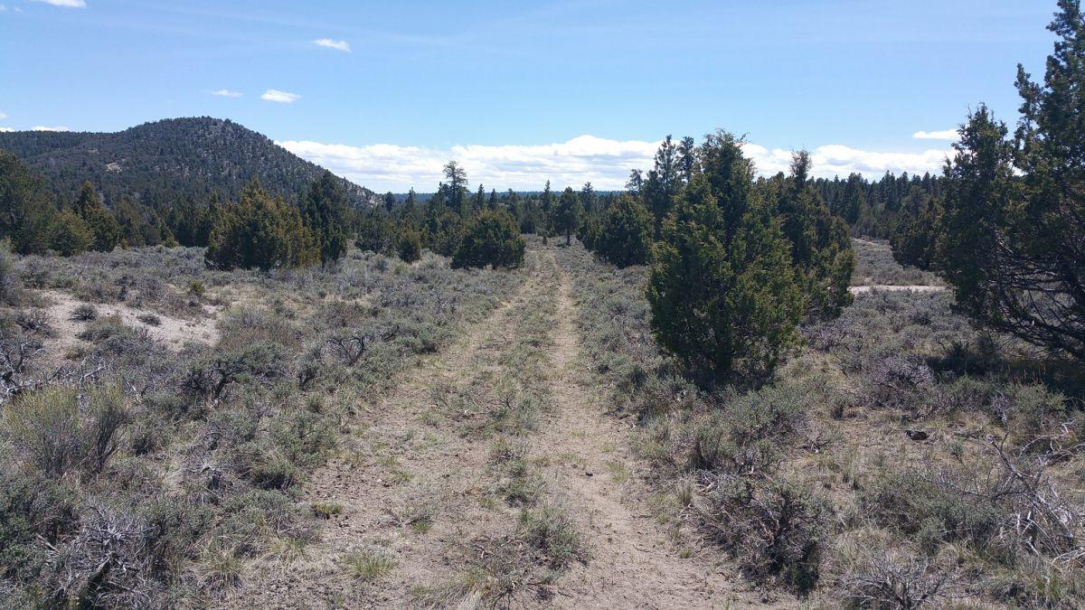 Sec 4 T 36 S R6W, Panguitch, UT 84759