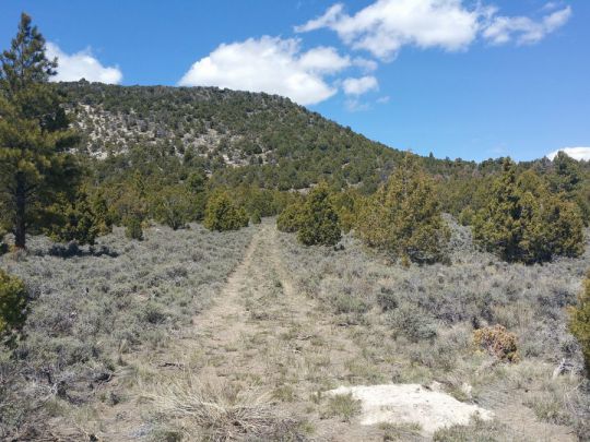 Sec 4 T36S R6W - 10 Acres, Panguitch Lake, UT 84759