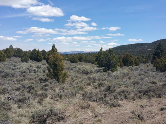 Sec 4 T36S R6W - 10 Acres, Panguitch Lake, UT 84759