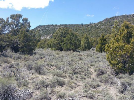 Sec 4 T36S R6W - 10 Acres, Panguitch Lake, UT 84759