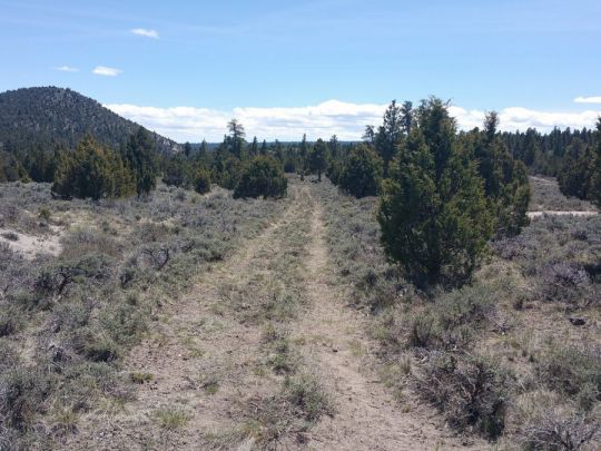 Sec 4 T36S R6W - 10 Acres, Panguitch Lake, UT 84759