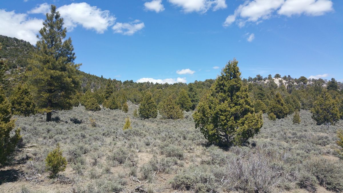 sec 4 T36s R&amp;W, Panquitch, UT 84759