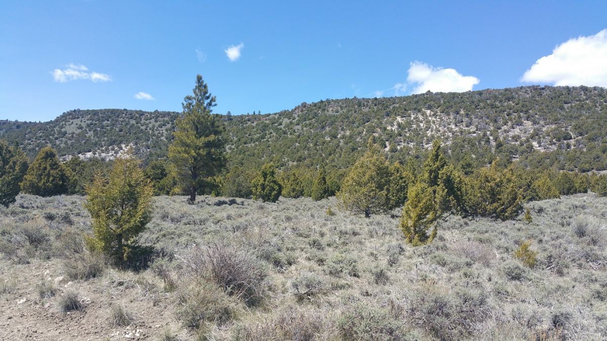 sec 4 T36s R&W, Panquitch, UT 84759