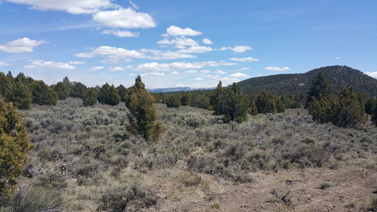 sec 4 T36s R&W, Panquitch, UT 84759
