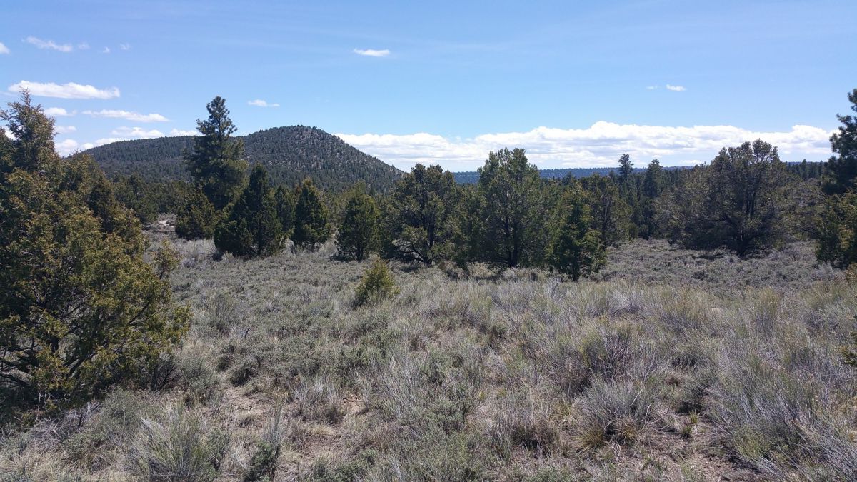 sec 4 T36s R&W, Panquitch, UT 84759