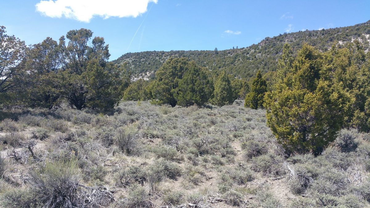 sec 4 T36s R&W, Panquitch, UT 84759