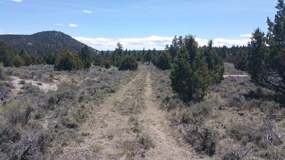 sec 4 T36s R&W, Panquitch, UT 84759
