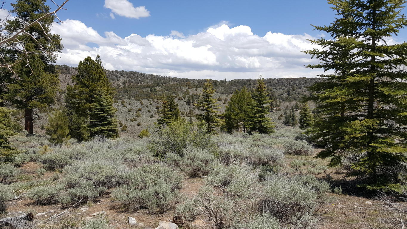 445 Ipson Creek DR, Panguitch, UT 84759