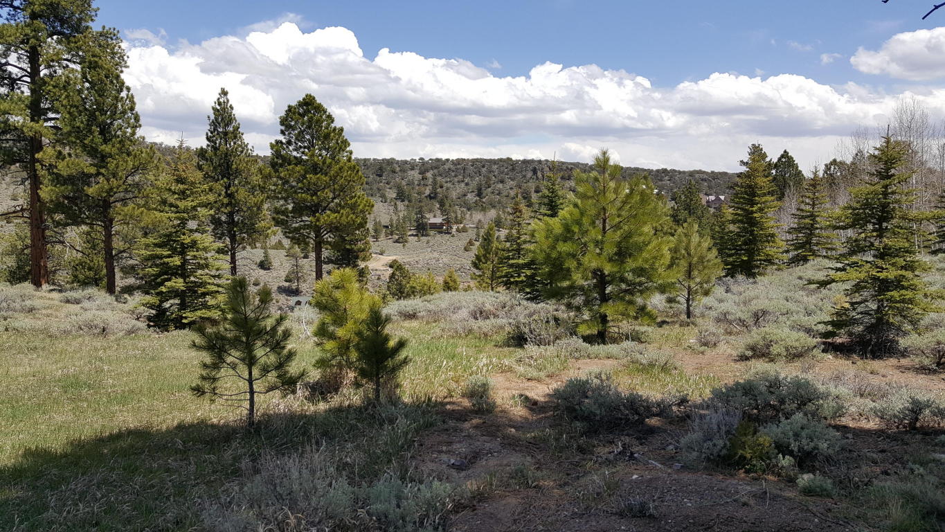 445 Ipson Creek DR, Panguitch, UT 84759