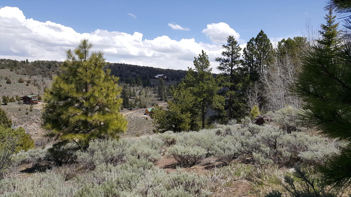 445 Ipson Creek DR, Panguitch, UT 84759