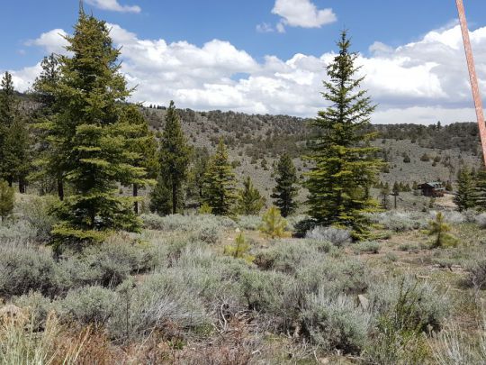445 N Ipson, Panguitch Lake, UT 84759
