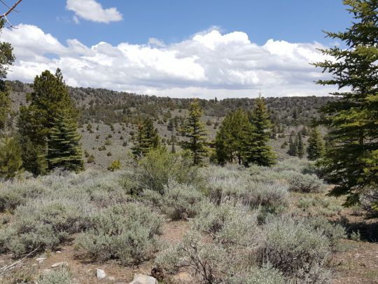445 N Ipson, Panguitch Lake, UT 84759