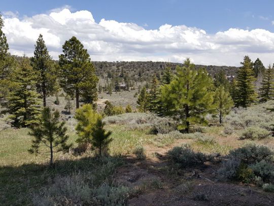 445 N Ipson, Panguitch Lake, UT 84759