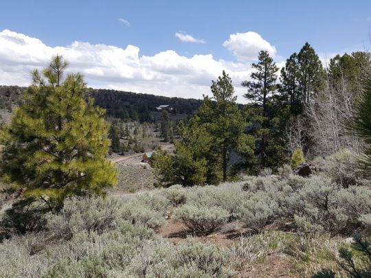 445 N Ipson, Panguitch Lake, UT 84759
