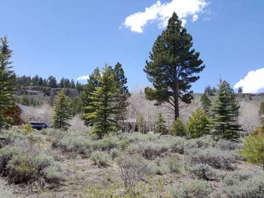 445 N Ipson, Panguitch Lake, UT 84759