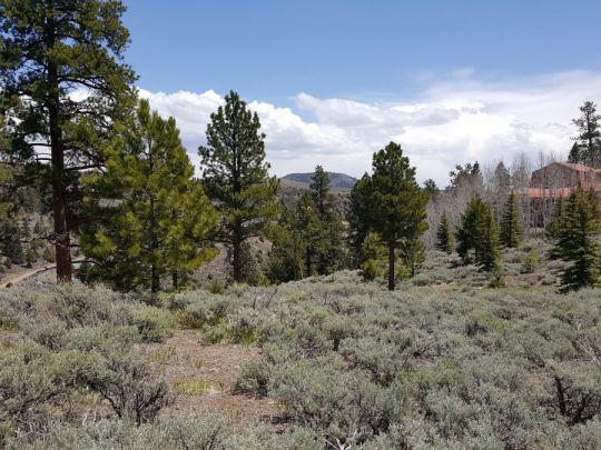 465 N Ipson Creek Dr, Panguitch Lake, UT 84759