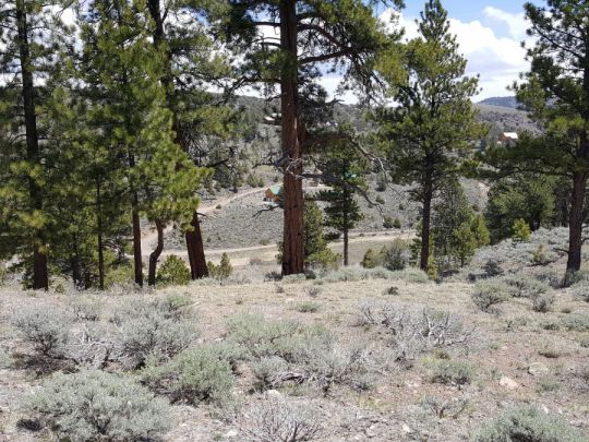 465 N Ipson Creek Dr, Panguitch Lake, UT 84759