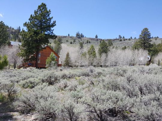 465 N Ipson Creek Dr, Panguitch Lake, UT 84759