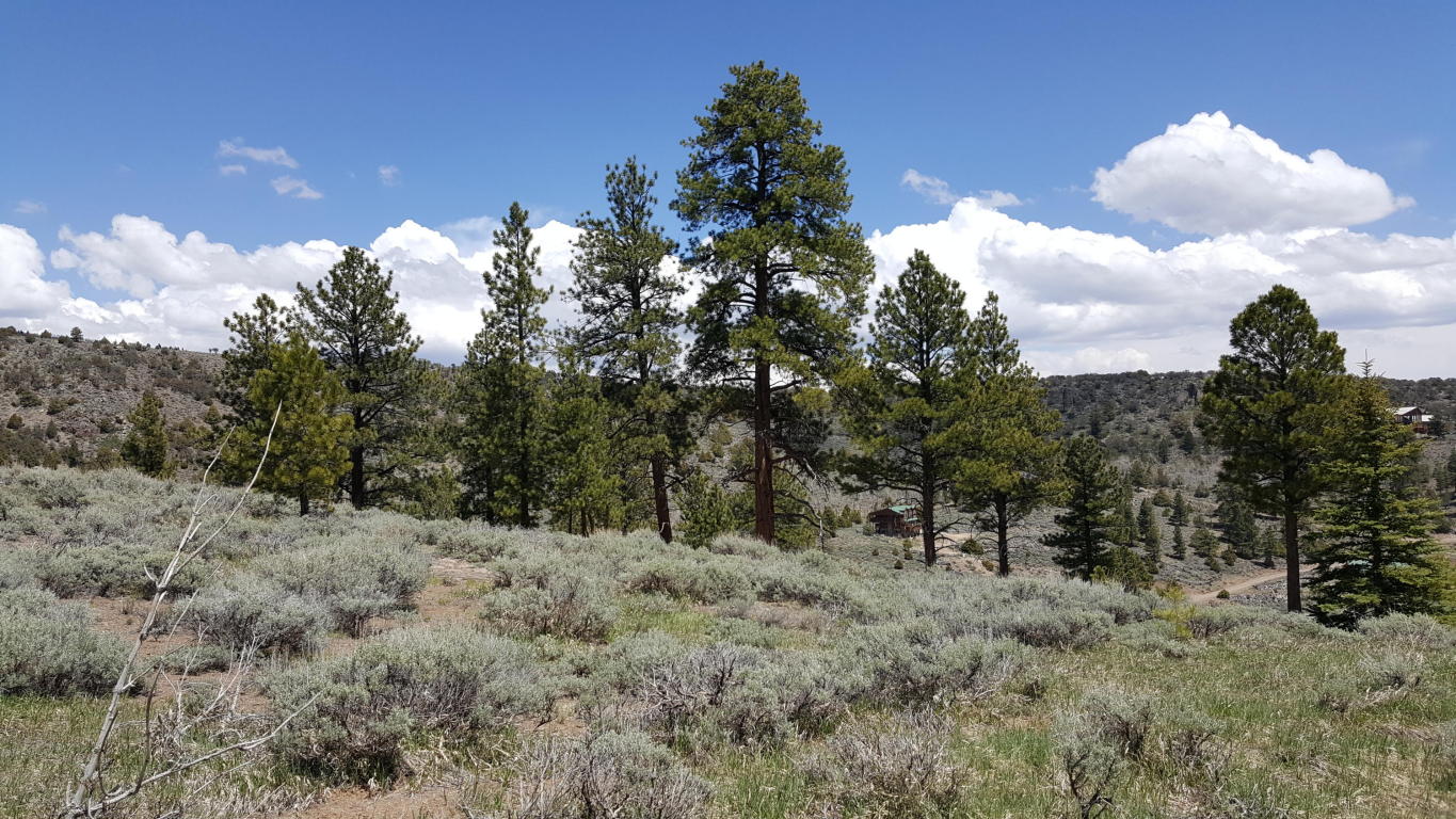 465 N Ipson Creek DR, Panguitch, UT 84759