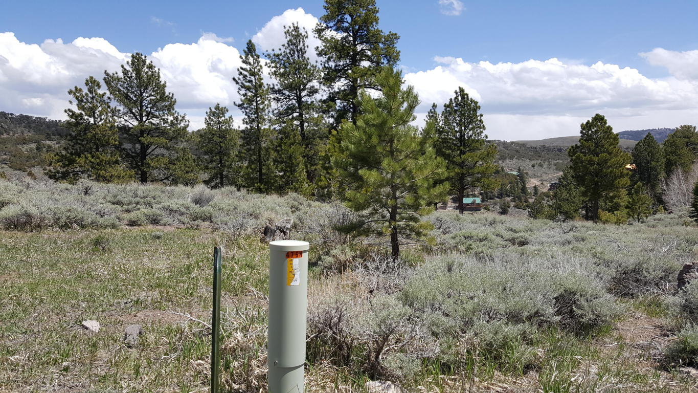 465 N Ipson Creek DR, Panguitch, UT 84759