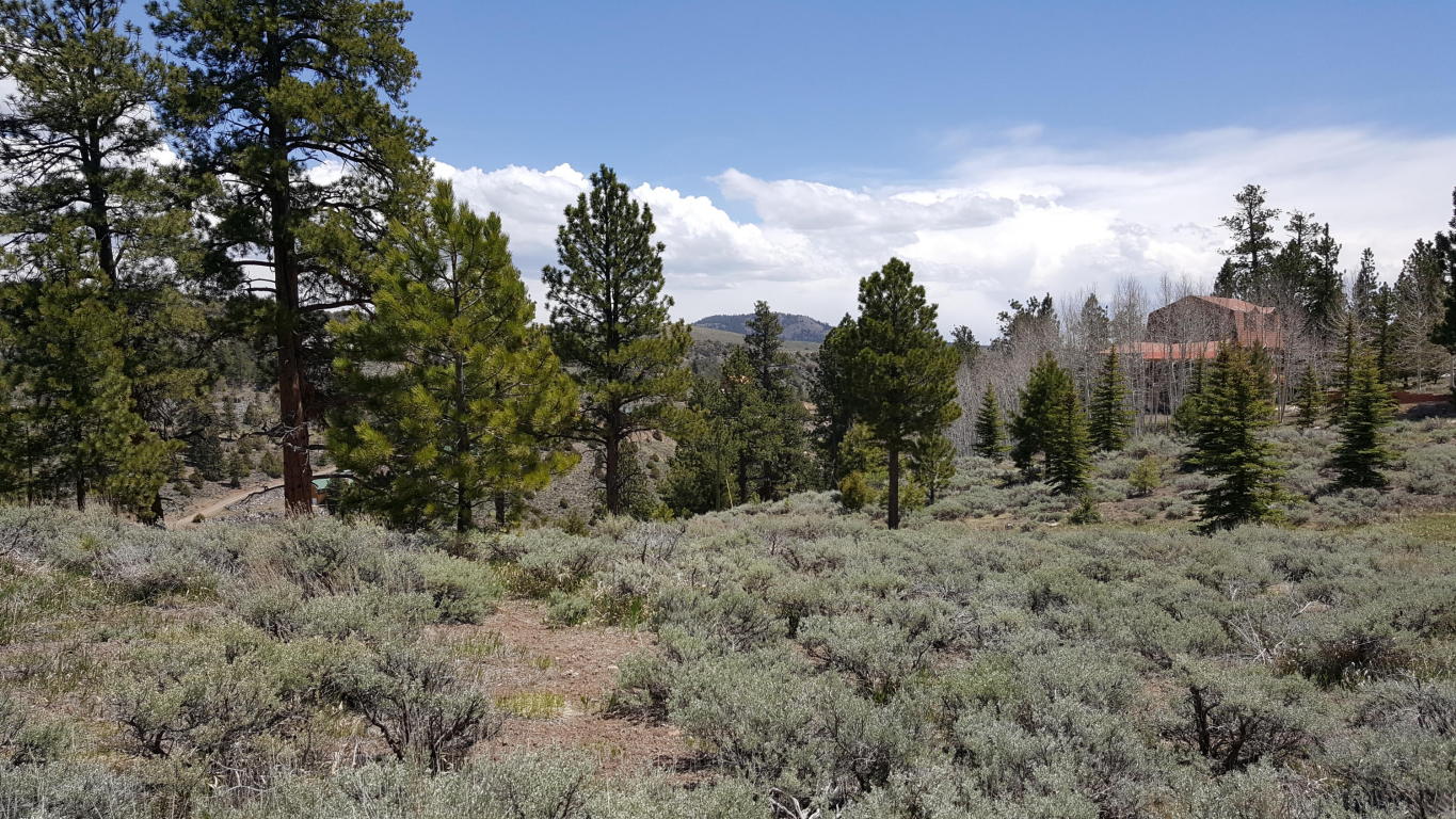 465 N Ipson Creek DR, Panguitch, UT 84759