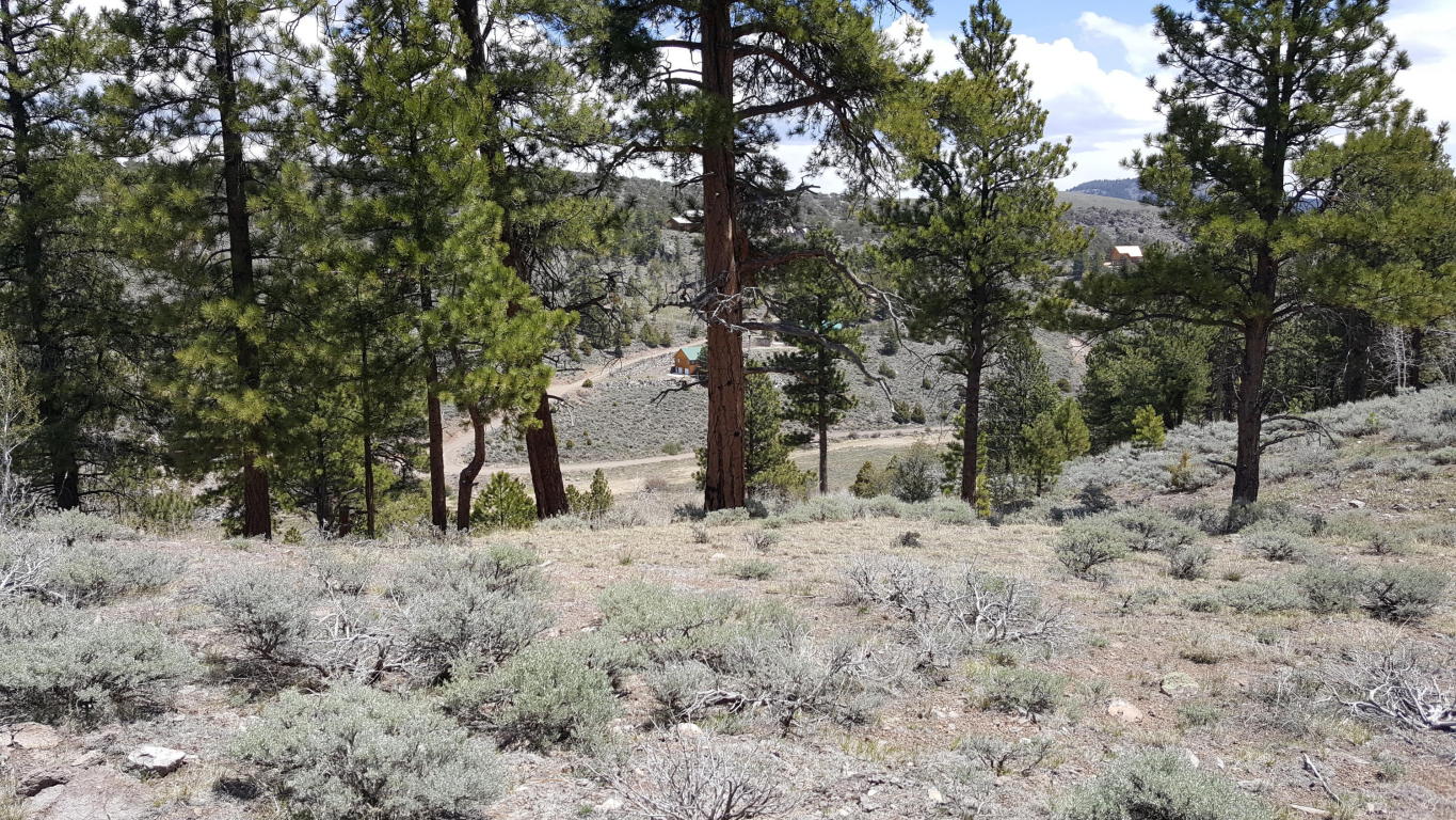 465 N Ipson Creek DR, Panguitch, UT 84759