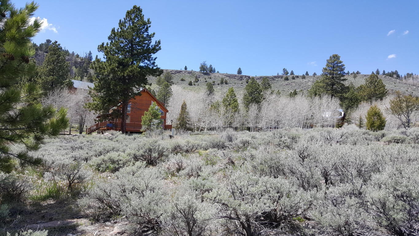 465 N Ipson Creek DR, Panguitch, UT 84759
