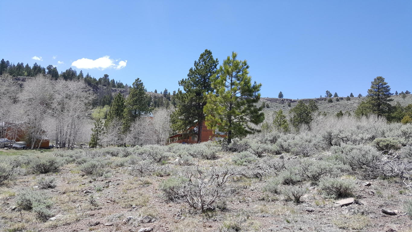 465 N Ipson Creek DR, Panguitch, UT 84759