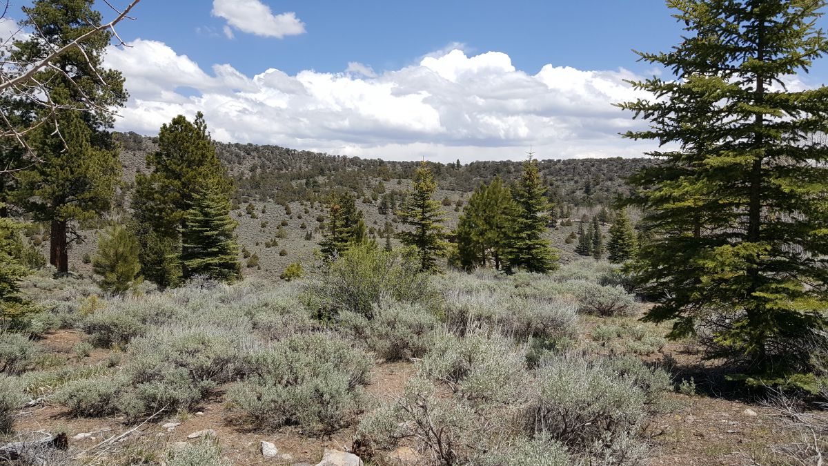 465 N Lpson Creek Dr., Panquitch, UT 84759